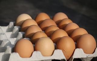 К чему снятся яйца — по французскому соннику