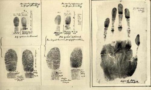 Дактилоскопия - это способ идентификации человека по отпечаткам пальцев