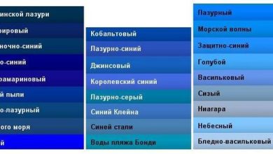 Photo of Палитра красок морского побережья