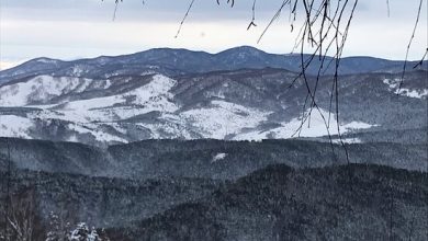 Photo of Панорамные виды с вершины